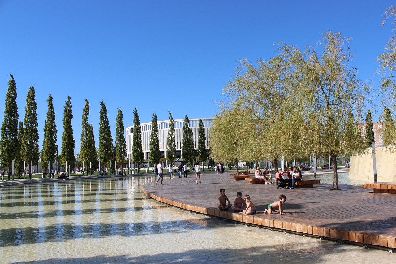 主力后卫的 主力后卫的