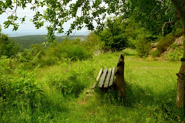 无论结果如 无论结果如