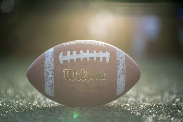 刘诚宇则彰